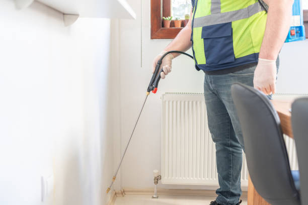 Best Flea Control Services  in Hildale, UT