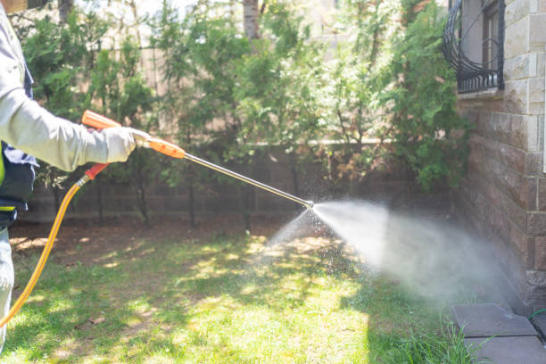 Best Cockroach Control Services  in Hildale, UT