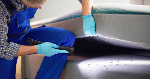 Best Commercial Pest Control Services  in Hildale, UT