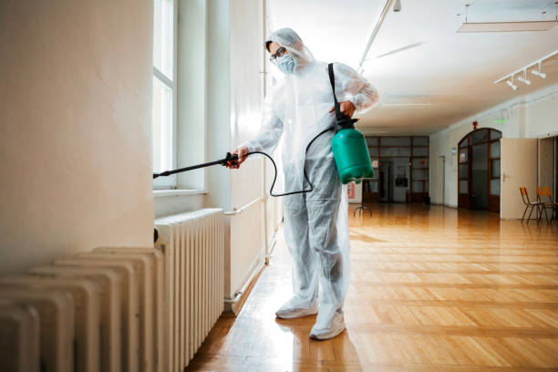 Best Cockroach Control Services  in Hildale, UT