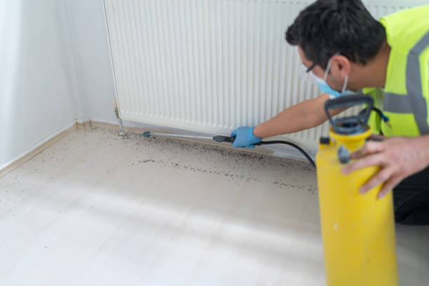 Best Affordable Pest Control Services  in Hildale, UT