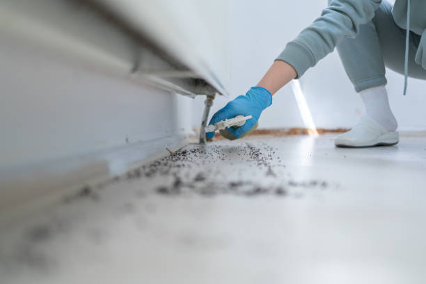 Best Pest Inspection Near Me  in Hildale, UT