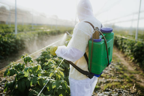 Best Bed Bug Extermination  in Hildale, UT